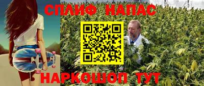 шишки Анжеро-Судженск
