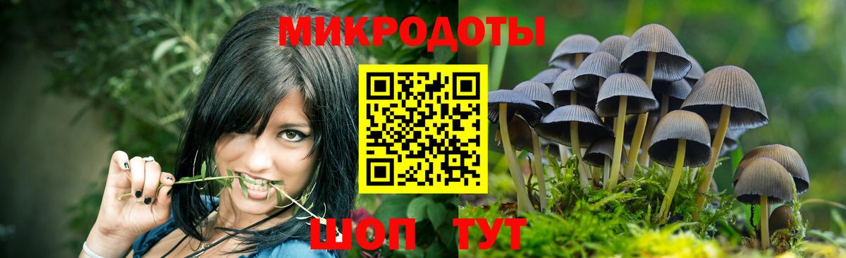 Псилоцибиновые грибы Cubensis  Вход с VPN  Курчатов 